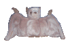 Batty the fruitbat