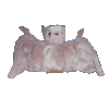 Batty by name, Batty by nature