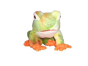"Frog"! This is your chance to name him!