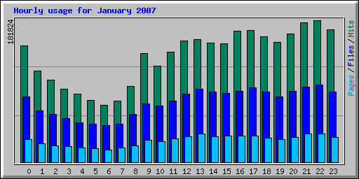 Hourly usage for January 2007