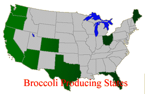 Map of broccoli production