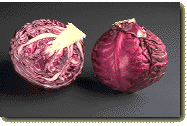 Red cabbage